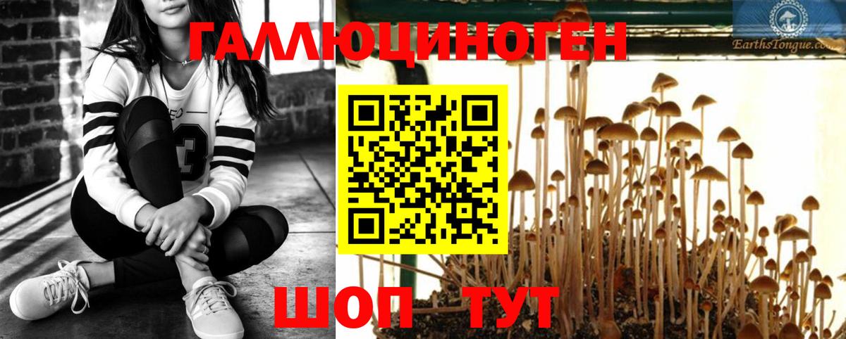 Галлюциногенные грибы Magic Shrooms  Вход с VPN  купить наркотики сайты  Галлюциногенные грибы ЛСД  Кимовск 